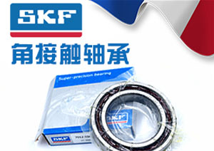 SKF進口軸承異常響聲的檢測方法與儀器